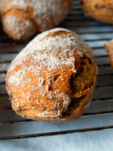 Vollkorn-Roggen-Dinkelbrötchen - Mimis Foodblog