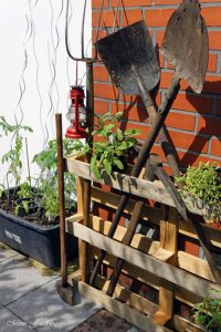 pflanzen ernten naschen Urban Gardening denn Sommerzeit ist Balkonzeit meinkleinergarten 18