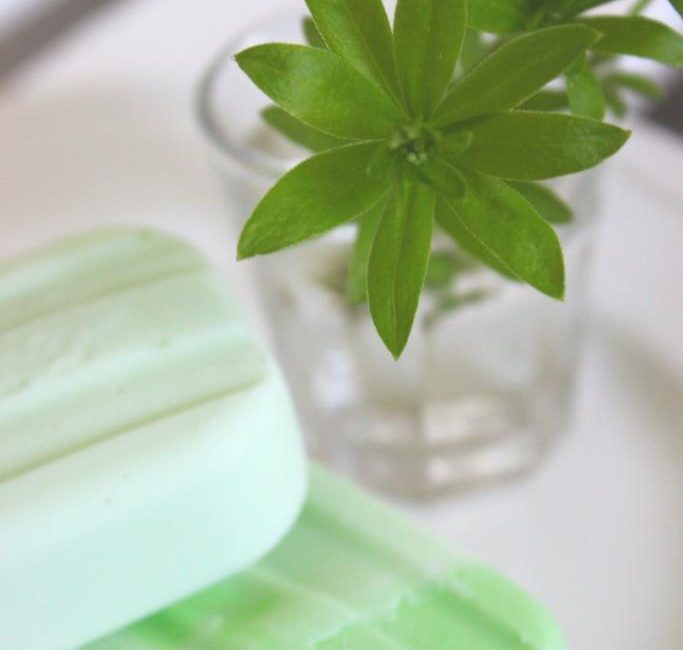 {Gastbeitrag von Küchenkränzchen} WALDMEISTER-EIS AM STIEL IM OMBRÉ-LOOK