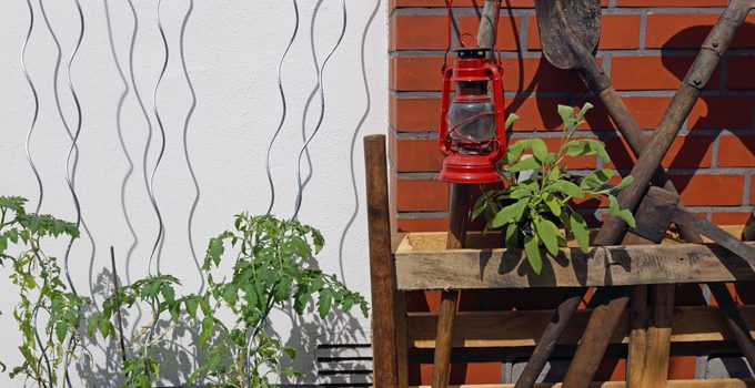 pflanzen ernten naschen Urban Gardening denn Sommerzeit ist Balkonzeit meinkleinergarten 19